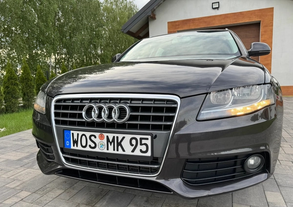 Audi A4 cena 24900 przebieg: 222534, rok produkcji 2008 z Otmuchów małe 781